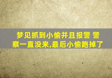 梦见抓到小偷并且报警 警察一直没来,最后小偷跑掉了